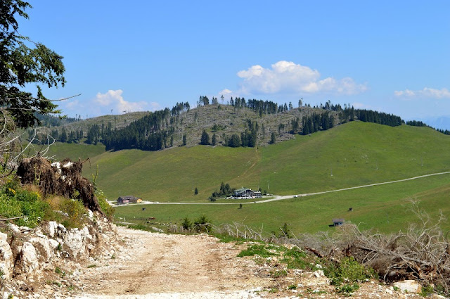 malghe asiago sentiero dei cippi