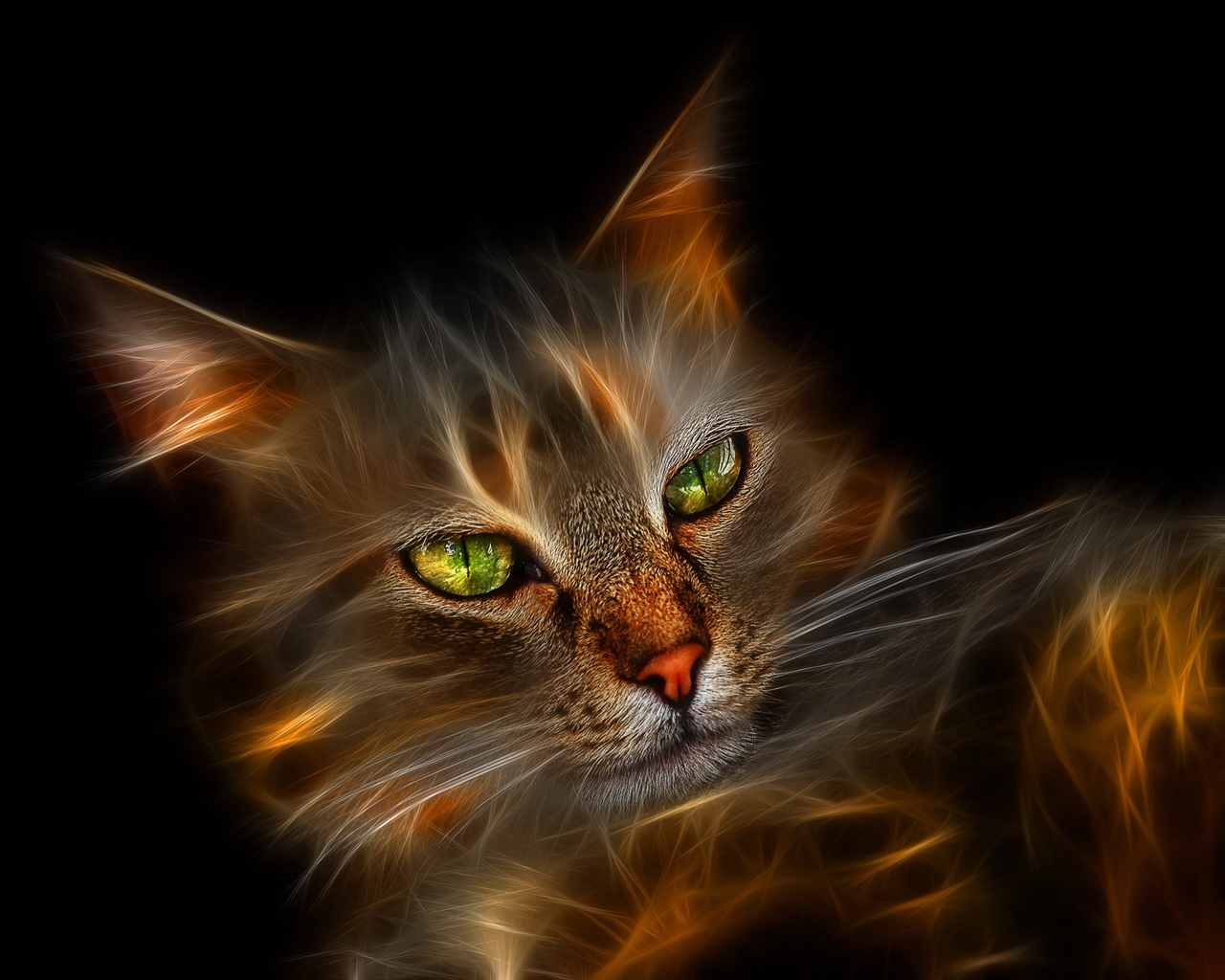 Fintis Wallpaper: Kitty Kats