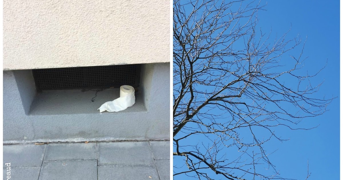 Dor Sch Furstenfelder Gartenblicke