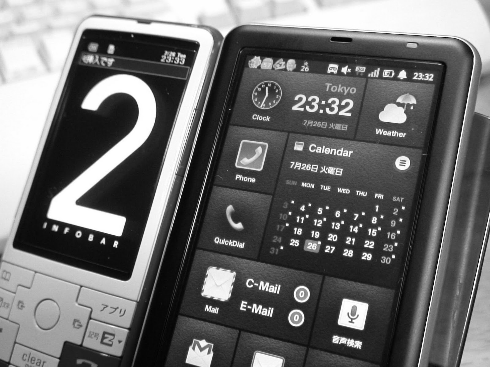 1月に何を植えるか - 1月に他に何を植えるか