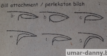 45 Contoh Soal Uas Pat Biologi Kelas 10 Semester 2 Kurikulum 2013 Beserta Jawaban Lengkap Kumpulan Soal Materi Sekolah