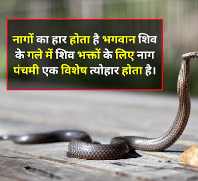 Nag Panchami Shayari In Hindi