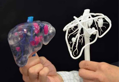 Nuove tecniche per stampa 3D organi