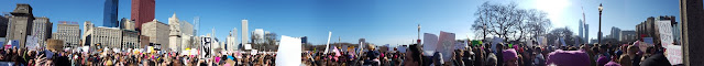 panoramic photo of the Chicago Women's March and skyline