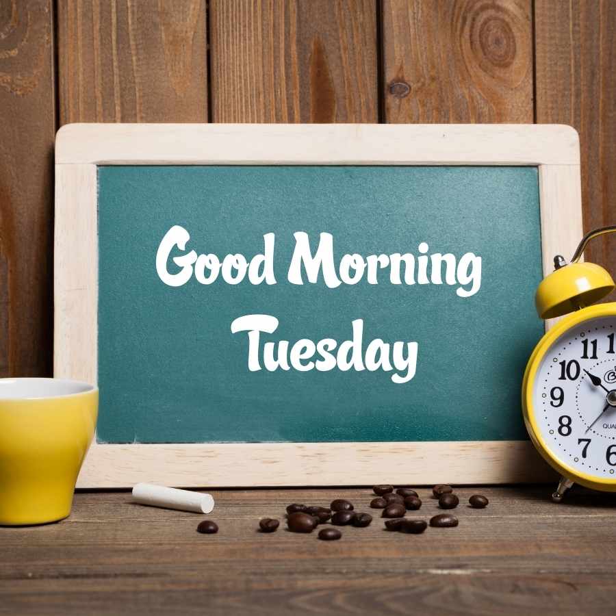 tuesday morning pics