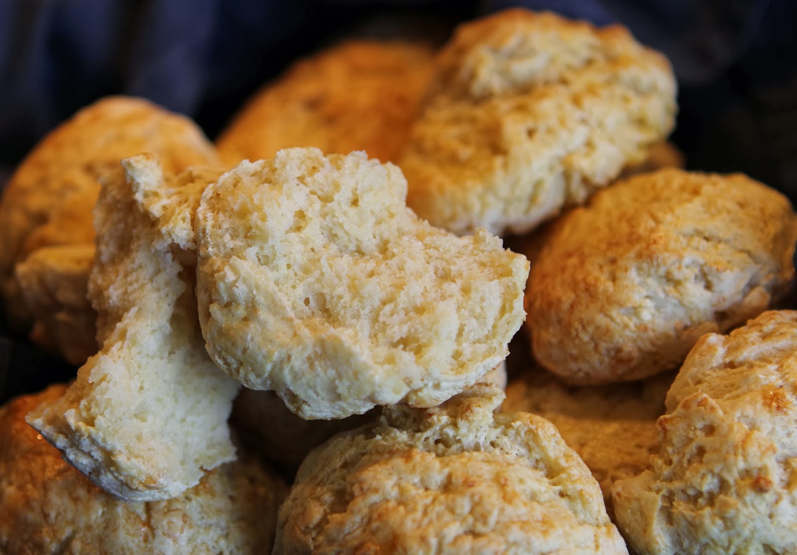 Gluten Free Alchemist HomeMade White Bread Rolls gluten free, dairy