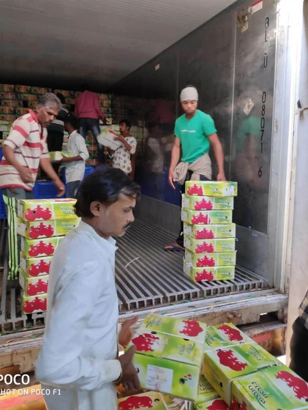 Fruit loot: 810 tonnes of bananas, grapes, coconuts stolen in Dubai, Dubai, News, Business, Corruption, Cheating, Gulf, World.