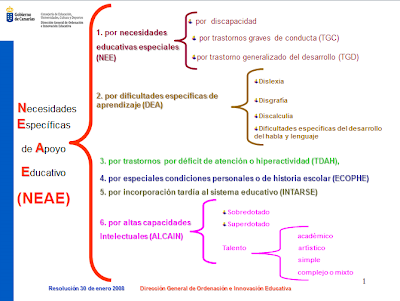 Dislexia, ¿eso qué es?: Clasificación de las NEAE