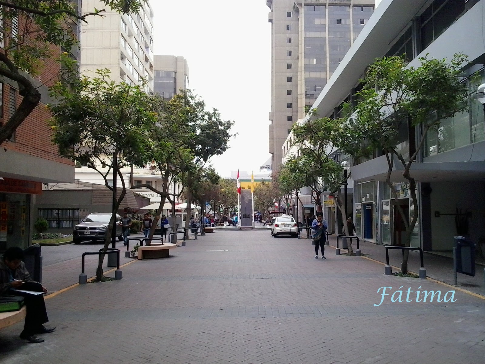 Fátima Rodríguez Serra Calle Tarata en Miraflores