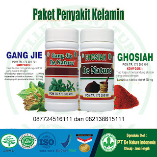 Khasiat gangjie dan ghosiah obat kencing nanah ampuh