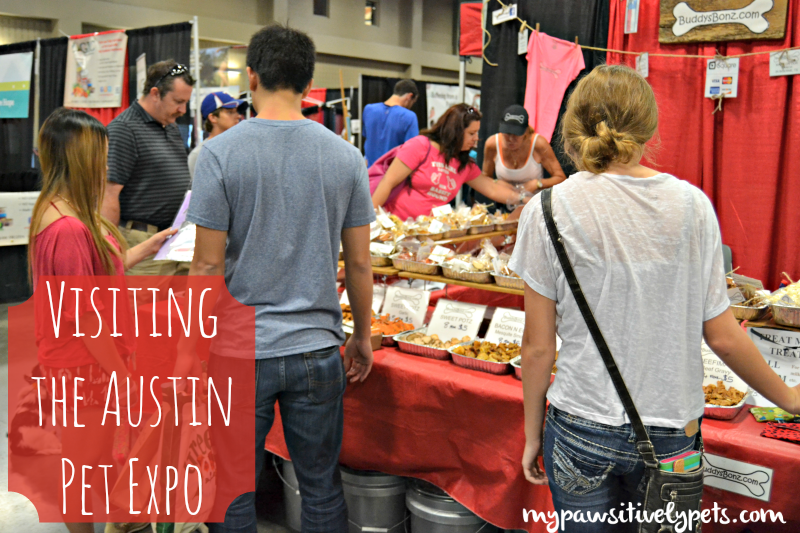 Our Austin Pet Expo Adventure Part I Pawsitively Pets
