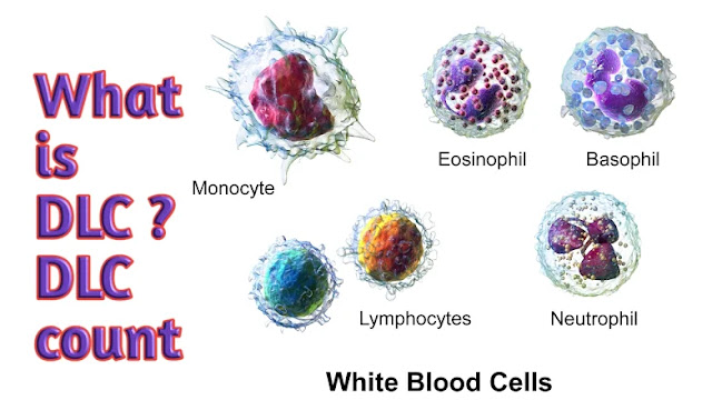 DLC test,Differntial leukocytes count