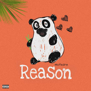 Reason by mofedre