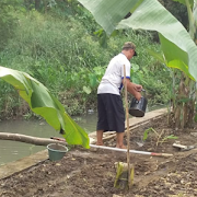 Pesantren SOLOPEDULI Giatkan Program Agribisnis, Perikanan dan Peternakan di wilayah Pesantren