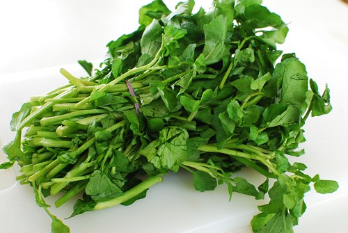 Blah Watercress Namul watercress-alchetron-the-free-social-encyclopedia