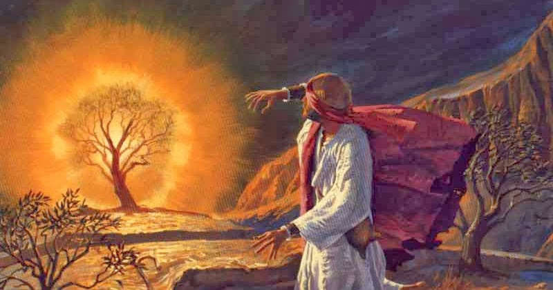 Rabbi Don In Oz A Jewish Life Of Purpose Moses Example a Drash For rabbi-don-in-oz-a-jewish-life-of-purpose-moses-example-a-drash-for