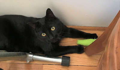 Manny was under the chair