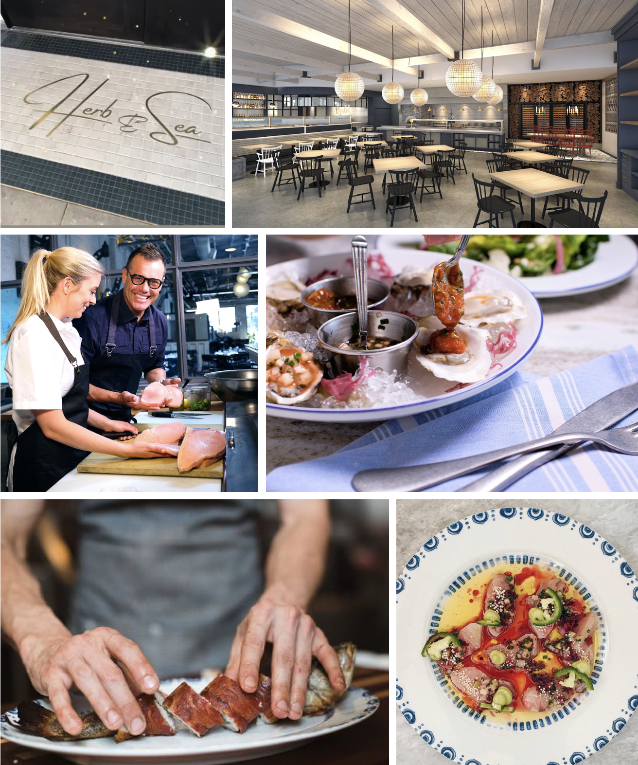 SanDiegoVille Get Your First Look At Brian Malarkey's Herb & Sea