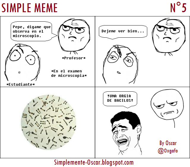 Simplemente Oscar: [SIMPLE MEME] En El Test de Microscopia