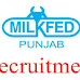 Milkfed Punjab 2021 Jobs Recruitment Notification of Assistant Manager Posts