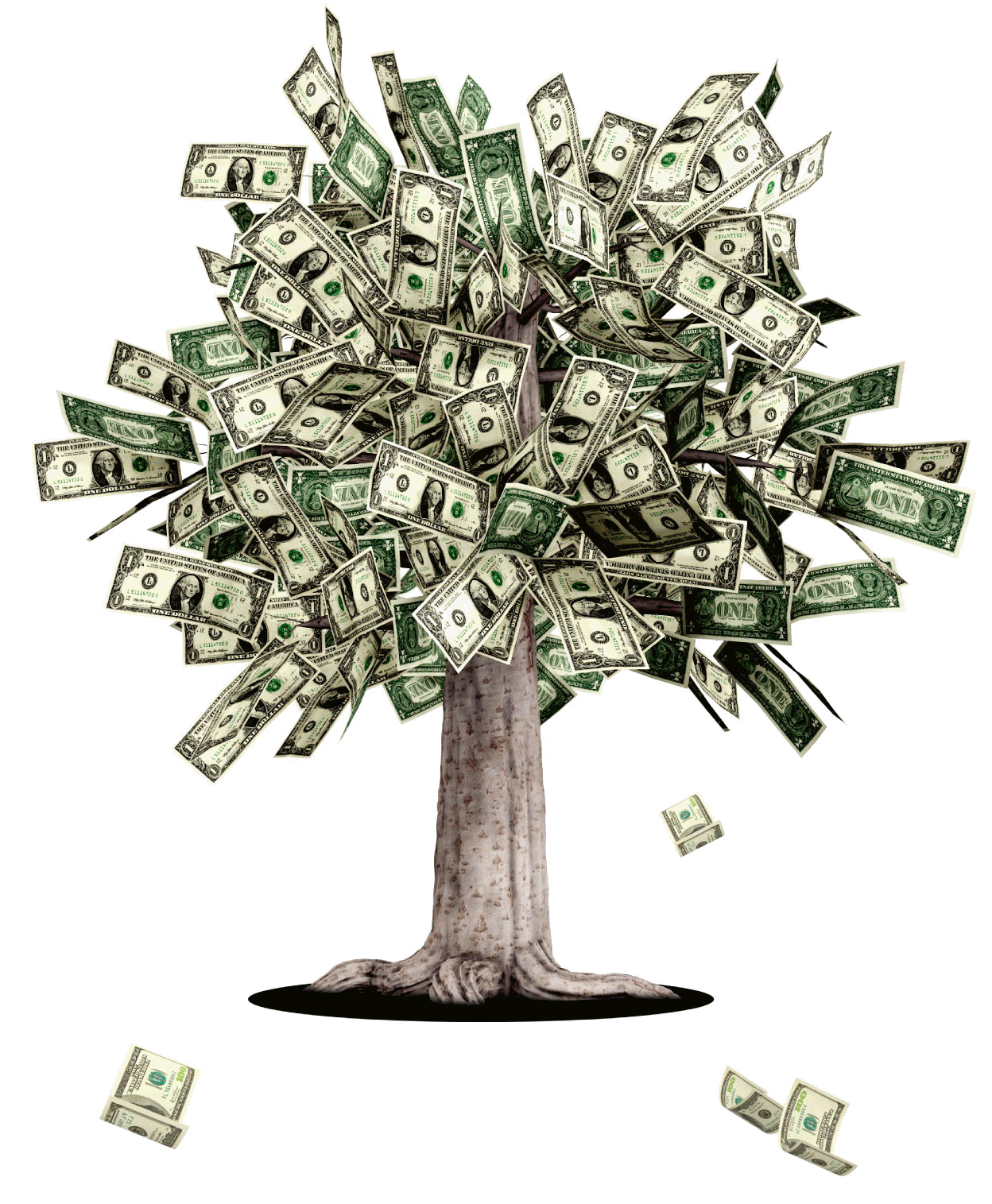 Money Trees Lyrics: The Untold Story Of Its Creation - msf8qru