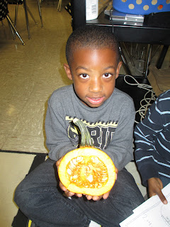 Mrs. Hendricks' Happenings at Hopkins: Pumpkins Galore!