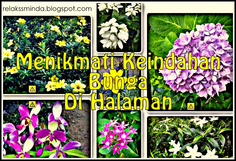 Ketenangan Menikmati Keindahan Bunga Di Halaman