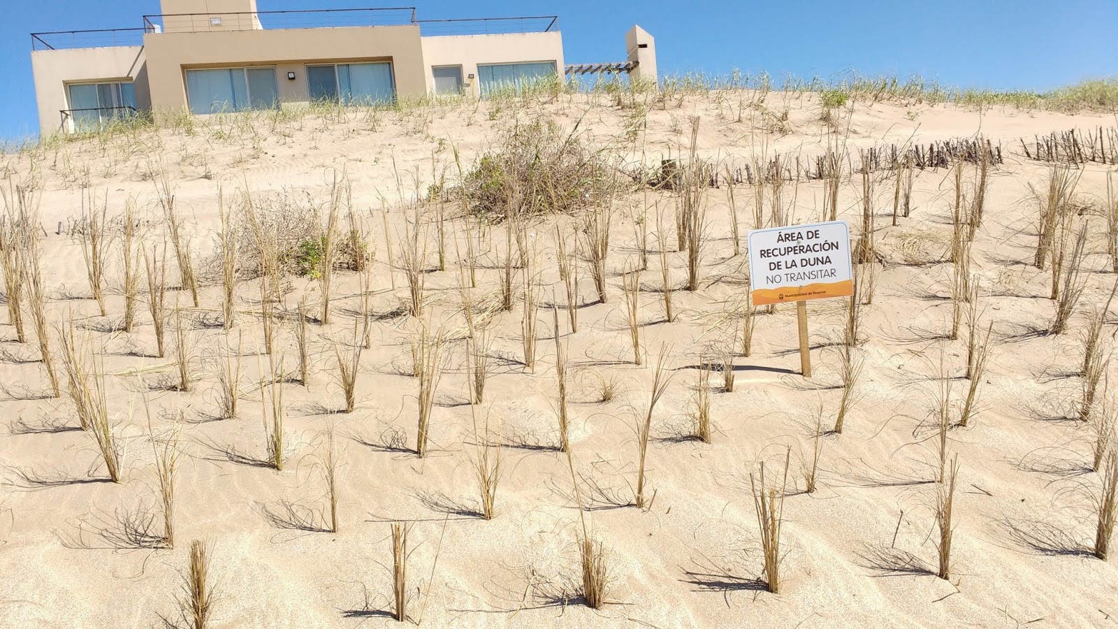 Pinamar noticias 24 hs. PROGRAMACION DE REMEDIACION DEL PRIMER CORDON