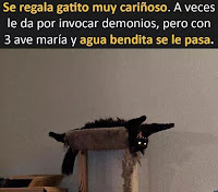 gato poseido meme