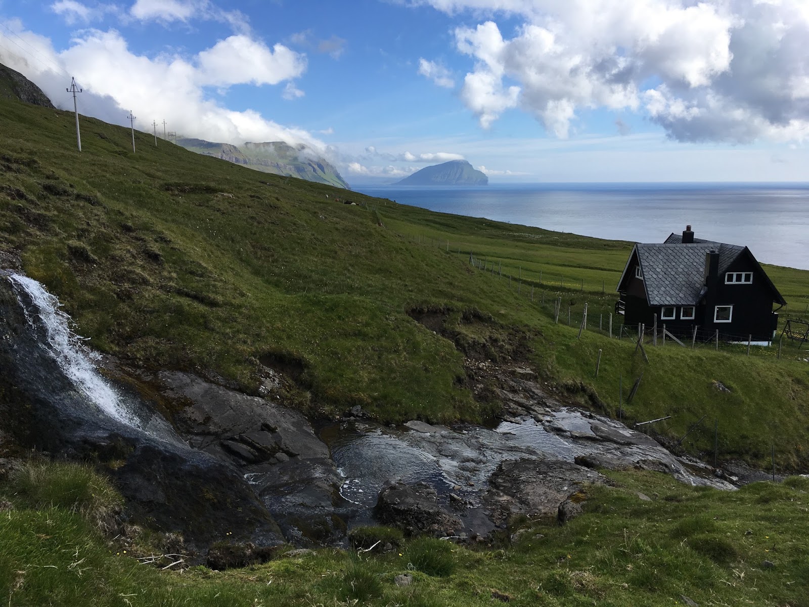 Kathryn S Report 01 20 19