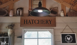 coop chicken lights electricity less inside than flashlight lighting phone night eggs fresh tired wished ever had using
