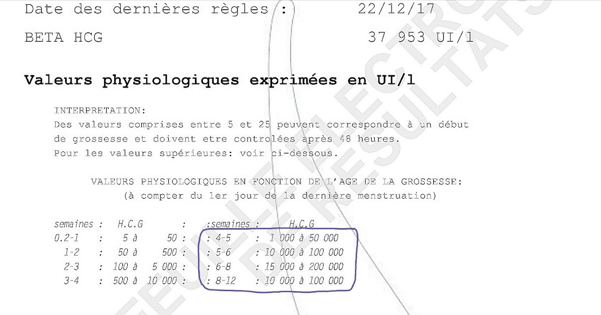 Mon Premier Enfant Ma Grande Aventure