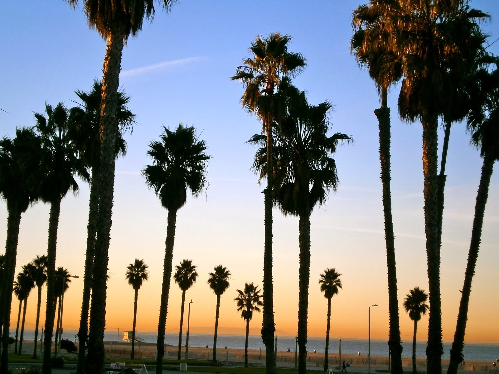 Dawn at The Beach