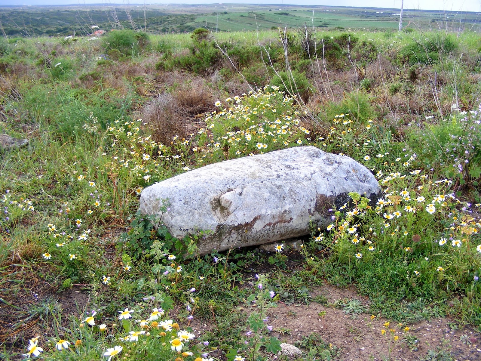 BLOG MEGALÍTICO DE NURIA Y JOSE LUIS MENHIRES DO PADRÃO Y MILREI