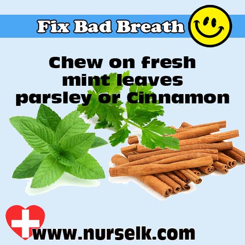 Make Your Breath Smell Good