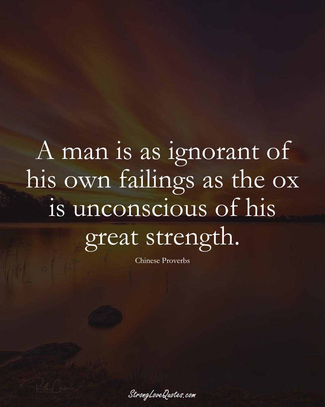 A man is as ignorant of his own failings as the ox is unconscious of his great strength. (Chinese Sayings);  #AsianSayings