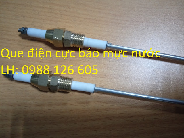 que điện cực