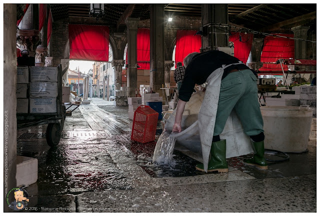 mercato di rialto