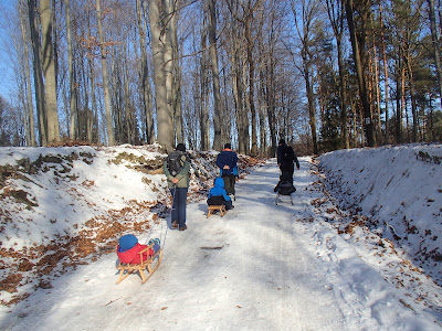 zimowy spacer, zabawy na śniegu, zima w Lesie Bronaczowa