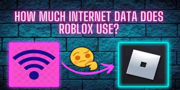 Data Usage on Roblox