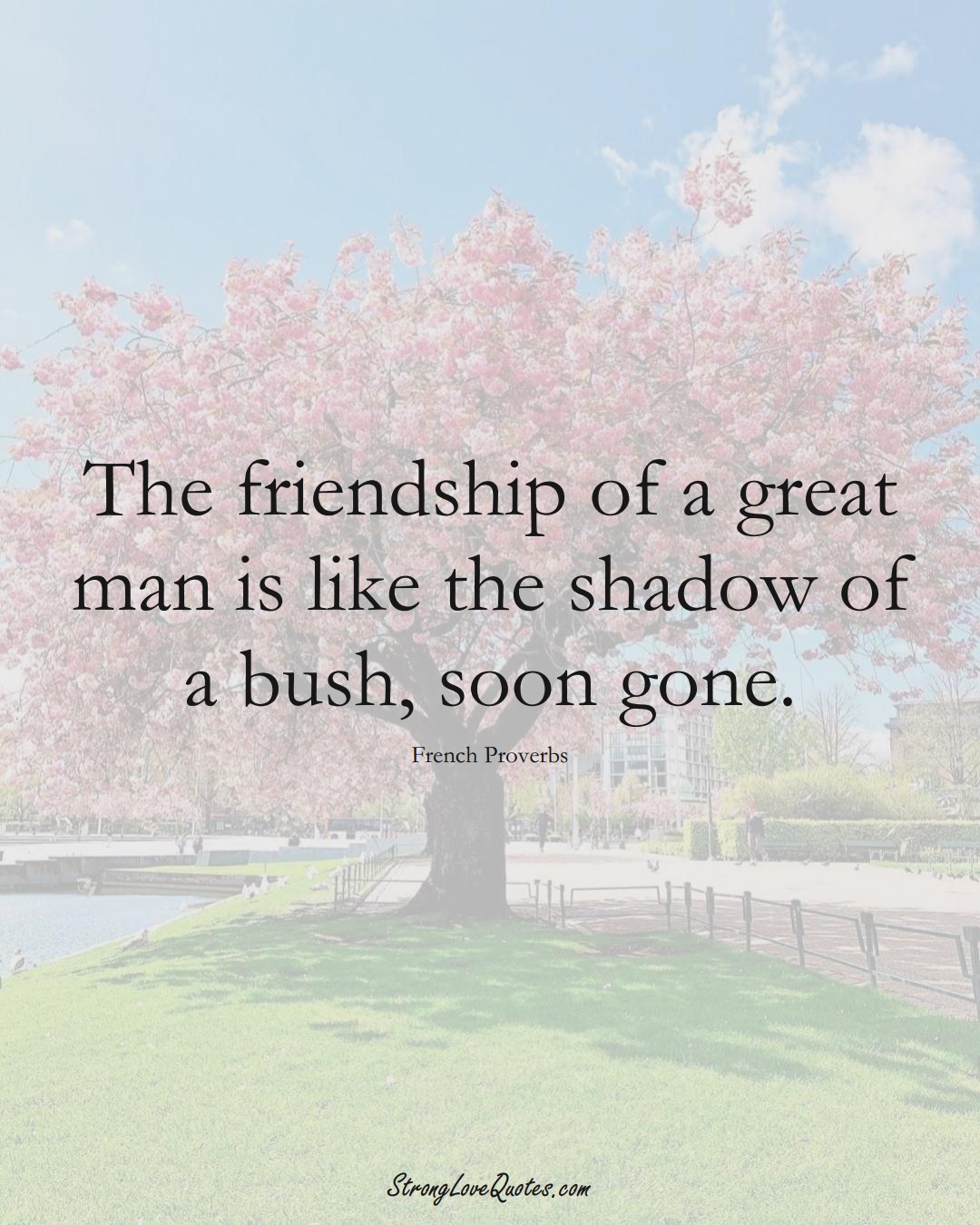 The friendship of a great man is like the shadow of a bush, soon gone. (French Sayings);  #EuropeanSayings