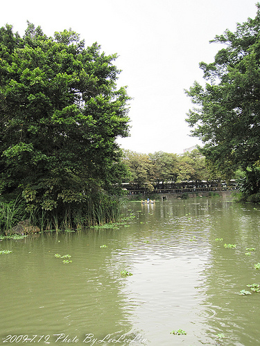新竹湖光美景｜新竹公園~緊鄰玻璃工藝博物館、新竹市立動物園