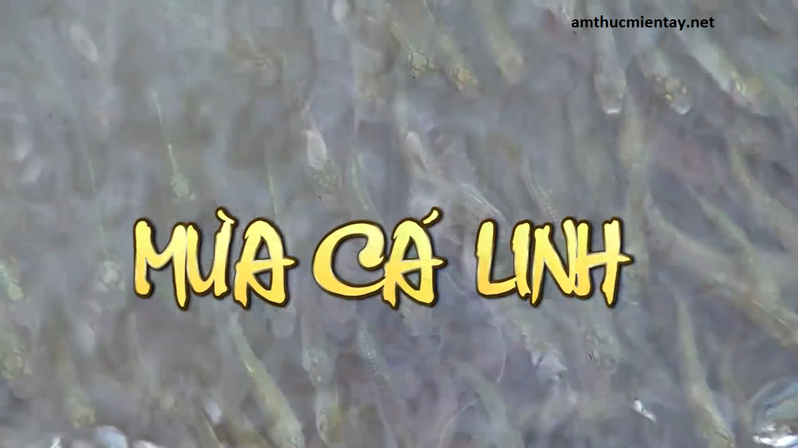 Ẩm thực miền tây , mùa cá Linh và các món ăn chế biến từ cá Linh Ẩm