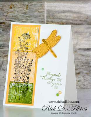 Check out my card today using an unexpected coloring technique and the Dragonfly Garden Stamp Set from Stampin' Up!  Click here to learn more