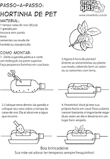 horta na garrafa PET