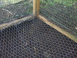 chicken coop floor wire put chang farmer cs kim natural