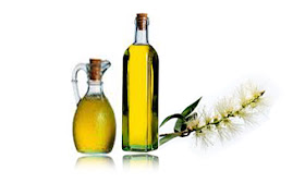 CHỮA BỆNH VẨY NẾN BẰNG TINH DẦU TRÀM