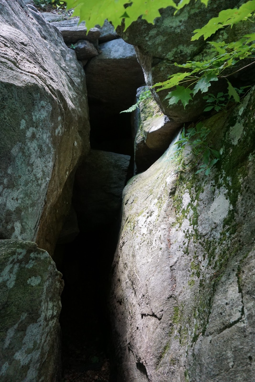 Harriman Hiker Harriman State Park and Beyond Cave Shelter