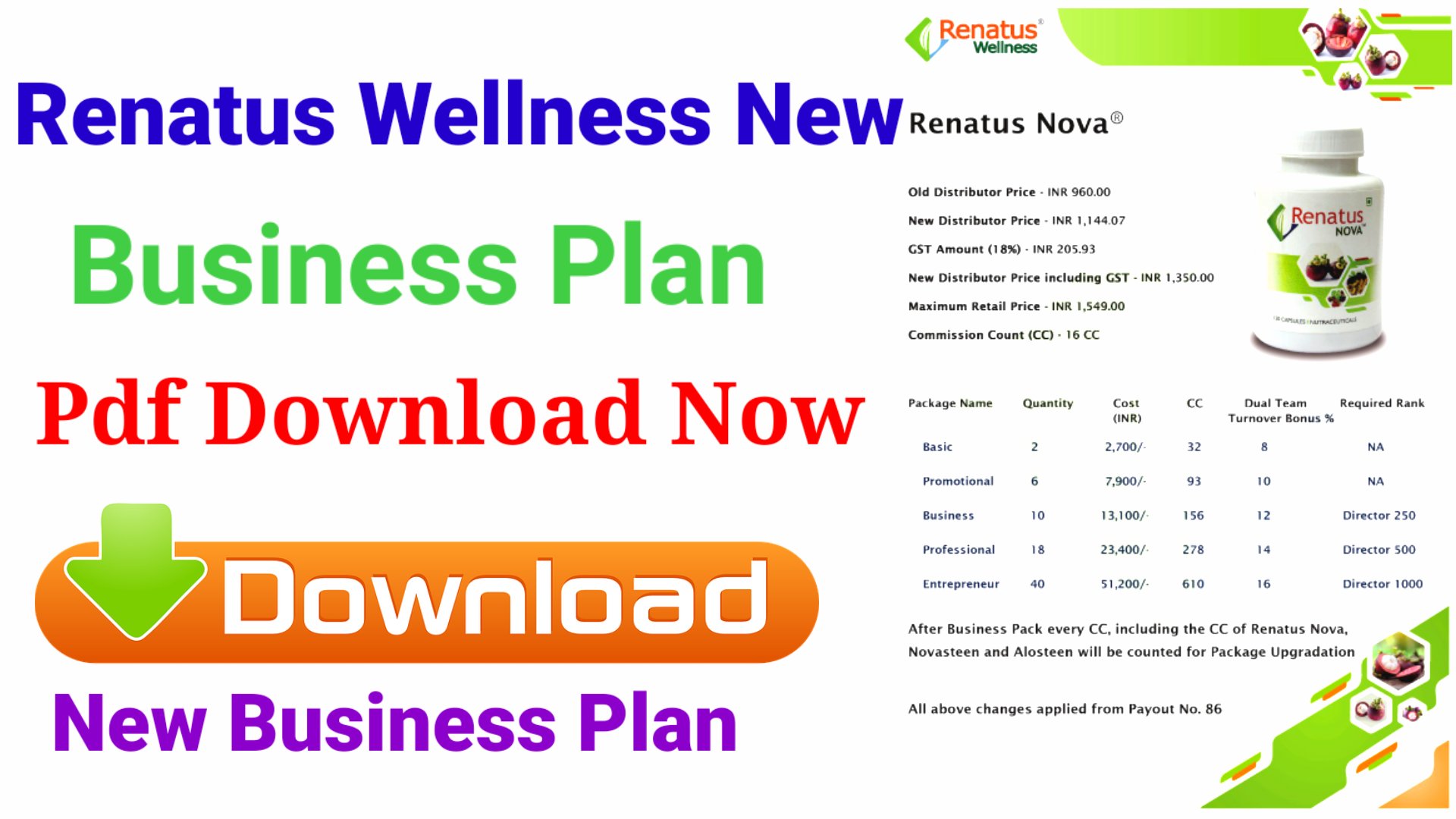 Renatus wellness business plan pdf picture