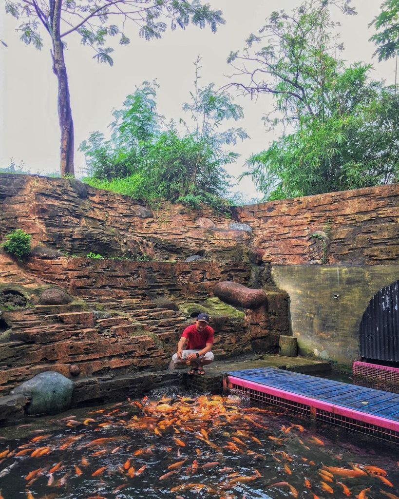 Sungai Ikan Warna Warni